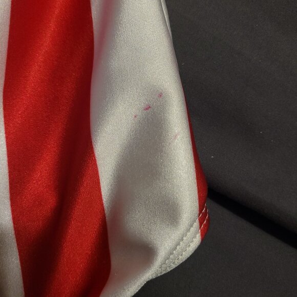 Hamilton's Theatrical Dance Costume Leotard - Picture 3 of 4